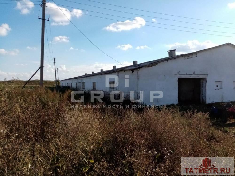 Продажа / Коммерческая / Manufacturing, Имени мичурина, Советская улица, 16 000 000 Предлагаем животноводческий комплекс в пос.им. Мичурина, Лениногорский район. Месторасположение: Республика... - 13