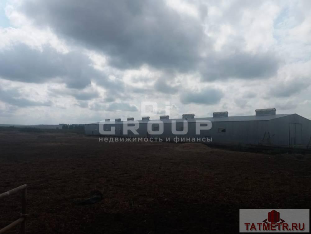 Продажа / Коммерческая / Manufacturing, Туктарово-урдала, 21 000 000 Предлагаем имущественный комплекс в Лениногорском районе. Месторасположение: Республика Татарстан, Лениногорский... - 10