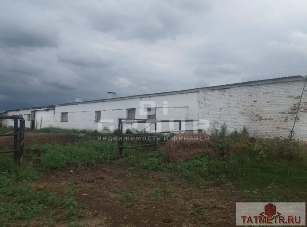 Продажа / Коммерческая / Manufacturing, Туктарово-урдала, 21 000 000 Предлагаем имущественный комплекс в Лениногорском районе. Месторасположение: Республика Татарстан, Лениногорский... - 6