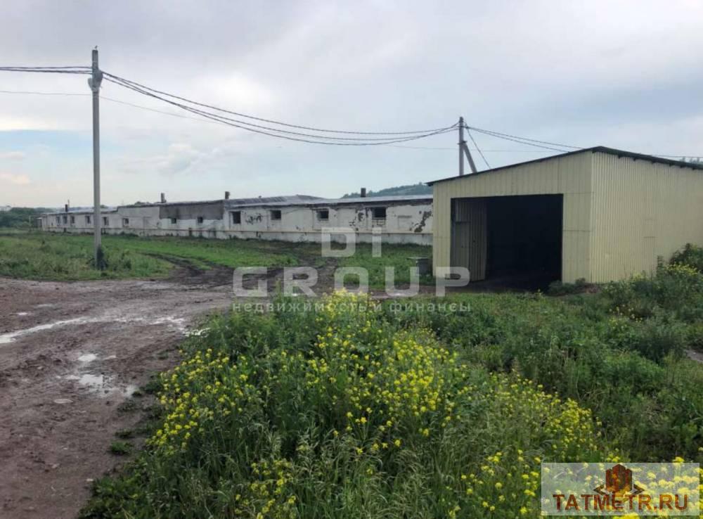 Продажа / Коммерческая / Manufacturing, Лениногорск, Бугульминская улица, 155 000 000 Предлагаем животноводческий комплекс (свинокомплекс) в пригороде г. Лениногорск. Месторасположение: Республика... - 11
