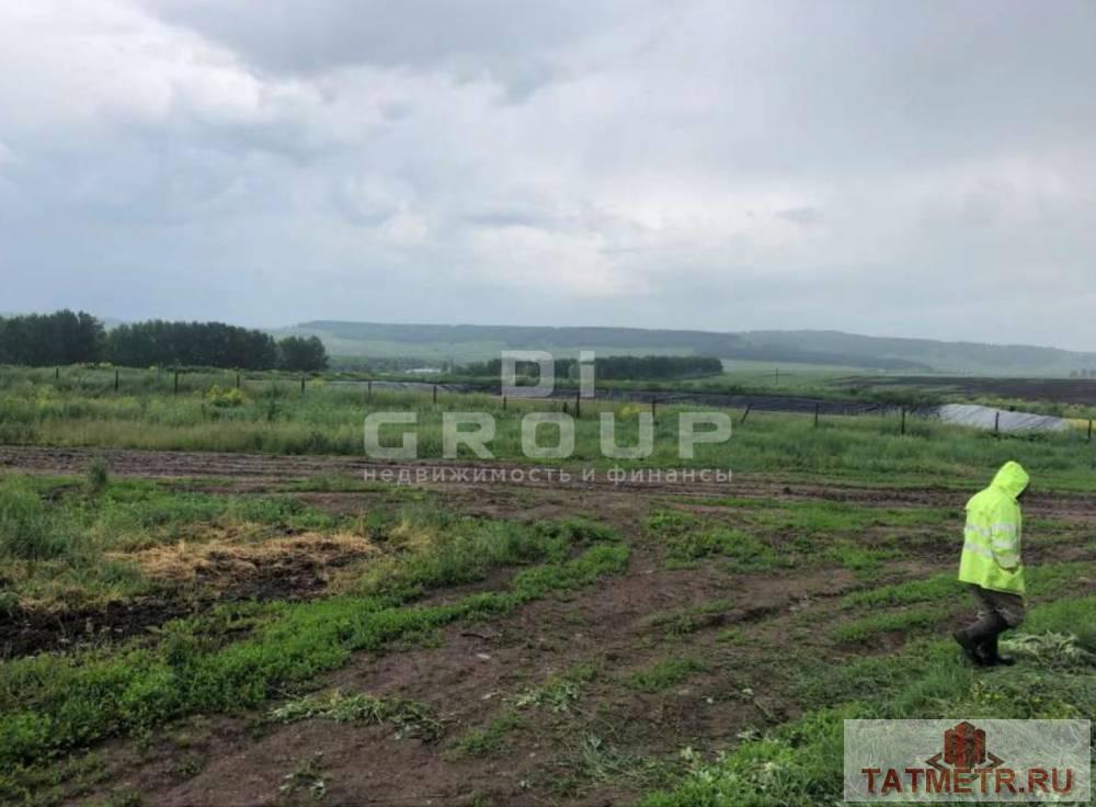 Предлагаем животноводческий комплекс (свинокомплекс) в пригороде г. Лениногорск.  Месторасположение: Республика... - 14