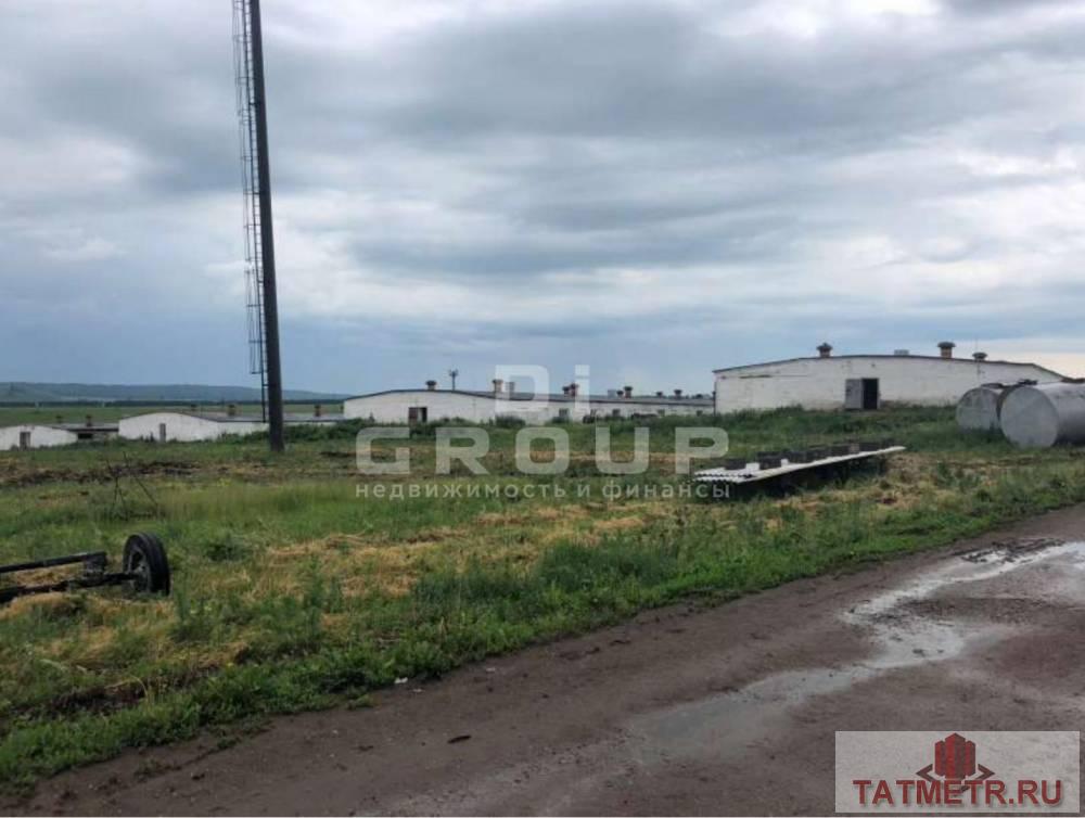 Предлагаем животноводческий комплекс (свинокомплекс) в пригороде г. Лениногорск.  Месторасположение: Республика... - 6