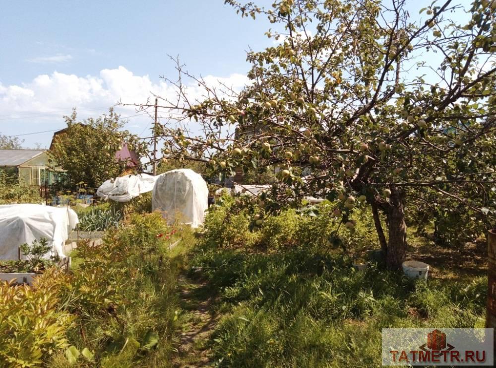 Продается отличная дача в экологически чистом районе пгт. Васильево. Дача ухоженная. Состоит из двух этажей. На... - 5