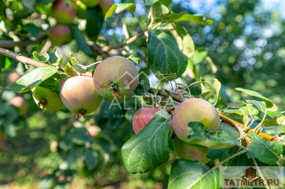 Продажа / Дома и коттеджи, Сорочьи горы, 1-я Садовая улица, 900 000 Рассмотрите наш вариант дома для себя и своей семьи! В живописном Рыбно-Слободском районе. Экологически чистый район.... - 18