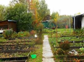 Продается замечательная дача в отличном районе пгт. Васильево. Дача...