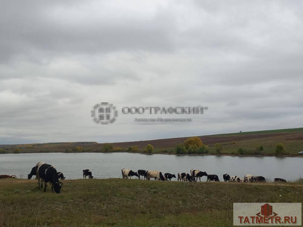 Продажа / Дачи, Аркатово, 5 000 000 Продаю дачу в Аркатово. Живописное место, идеальное для тех , кто устал от городской суеты и желает жить в тишине и... - 14