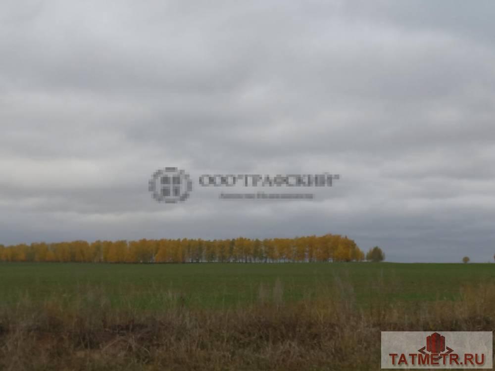 Продажа / Дачи, Аркатово, 5 000 000 Продаю дачу в Аркатово. Живописное место, идеальное для тех , кто устал от городской суеты и желает жить в тишине и... - 9