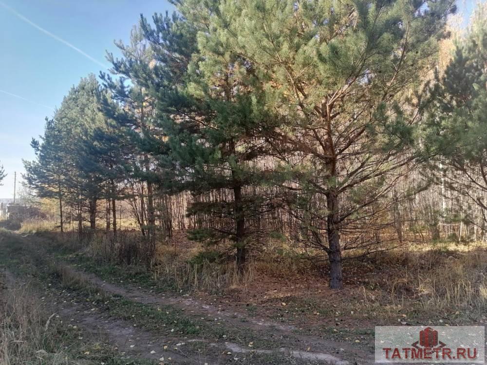 Продается земельный участок 6 соток в живописном месте не далеко от г. Казани. Участок ровной прямоугольной формы,...
