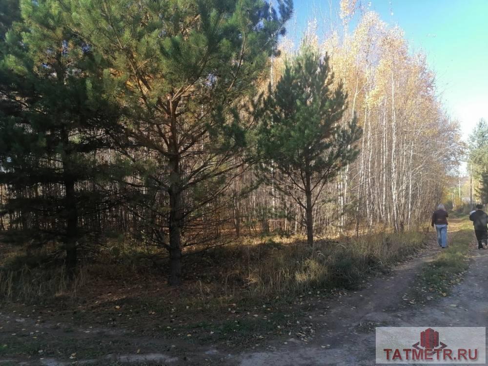 Продается земельный участок 6 соток в живописном месте не далеко от г. Казани. Участок ровной прямоугольной формы,... - 1
