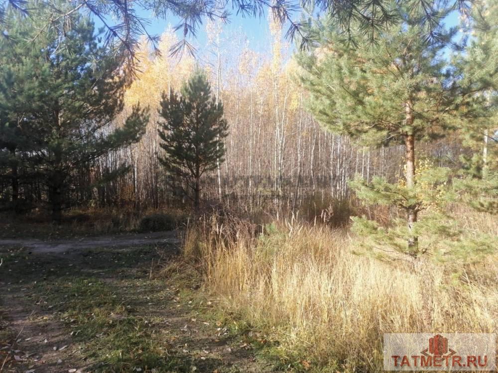 Продается земельный участок 6 соток в живописном месте не далеко от г. Казани. Участок ровной прямоугольной формы,... - 2