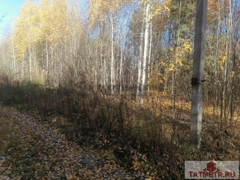 Продажа / Земельные участки, Садоводческое некоммерческое товарищество сулица, 770 000 Продается земельный участок 12 соток в живописном месте не далеко от г. Казани. Участок ровной прямоугольной формы,... - 1