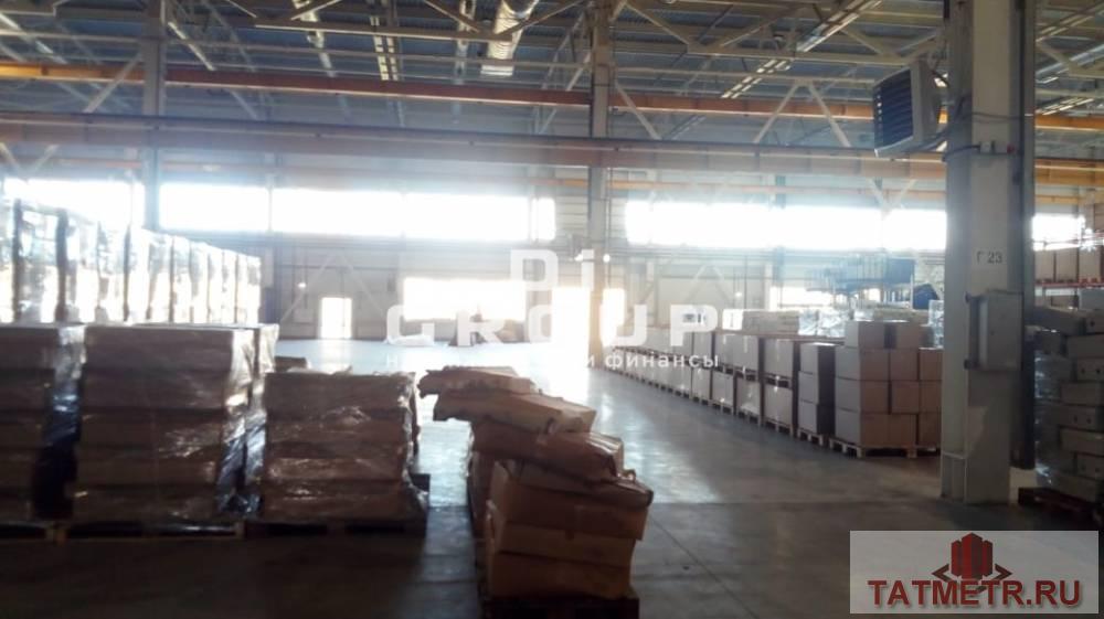Аренда / Коммерческая / Warehouse, Зеленодольск, промышленный парк Зеленодольск, 640 000 Сдается новое помещение под склад или производство площадью 1600 кв м, расположенное рядом с технополисом Новая Тура,... - 5
