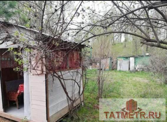 Продажа / Дачи, пгт. Васильево, с/о Здоровье, 299 000 Продается отличная дача в пгт. Васильево. Ухоженный участок ровной прямоугольной формы, много плодово-ягодных... - 2