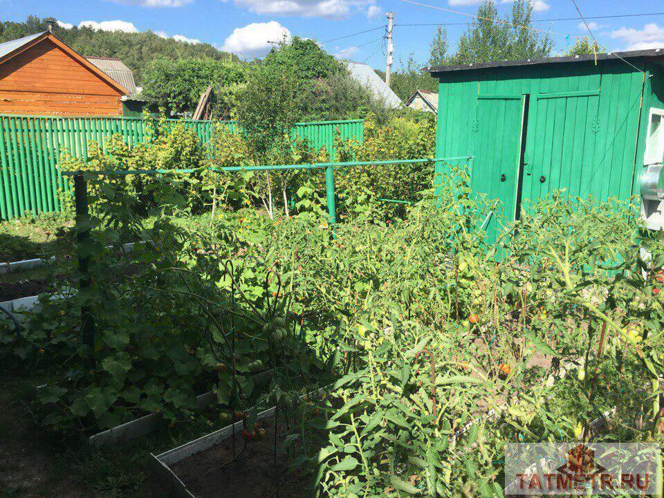 Продажа / Дачи, пгт. Васильево, с/о Весна, 560 000 Продается замечательная, бревенчатая дача в экологически чистом районе пгт. Васильево. В домике две комнаты, кухня,... - 3
