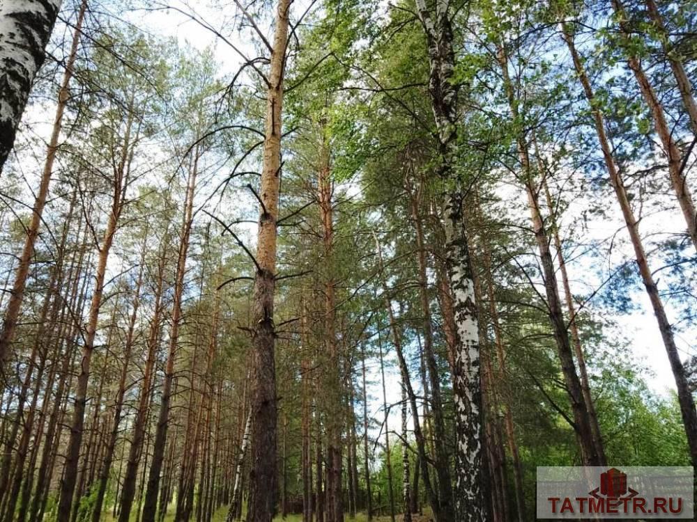 Продажа / Дачи, пгт. Васильево, с/о Весна НПО им. Ленина, 644 000 Продается отличная, кирпичная дача на капитальном фундаменте в востребованном садовом обществе пгт. Васильево. Дача... - 7