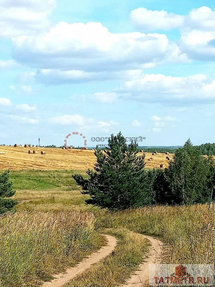 Продаю участок в живописном месте.  Площадь участка 6 соток, есть сарай. По периметру участка посажены яблони....