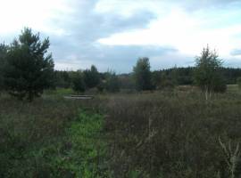 Участок в с. Мизиново, расположен в экологически чистом районе,...