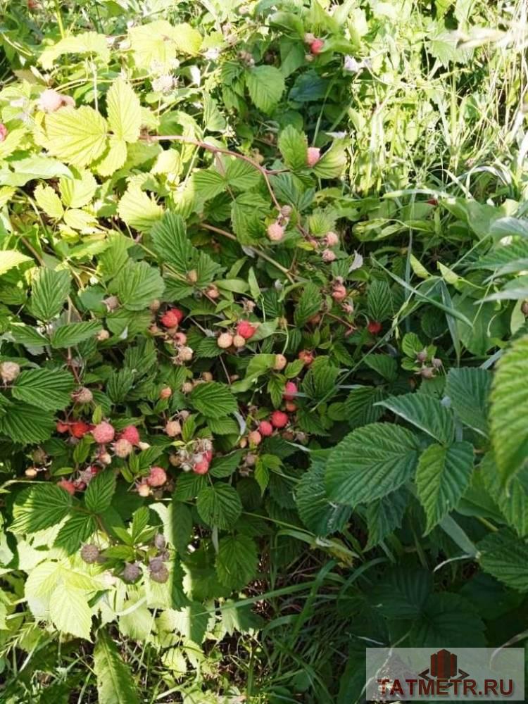 Продажа / Жилая / Дом с участком, с. Большие Ключи, Татарстан улица, 3 398 000 Продается замечательный, кирпичный дом в живописном районе с. Большие Ключи. Дом уютный, просторный с отличным... - 5