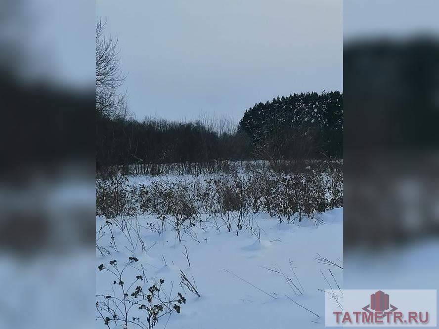 Продажа / Commercial / Land, деревня Дружба, Костина улица, 116 064 ID 565602 (назовите при обращении) Реализуется с торгов земельный участок, площадью 2 410м кад. №16: 28: 020501: 124,...