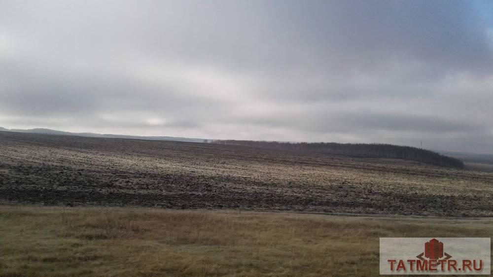 Продажа / Commercial / Land, деревня Юлтимирово, 18 000 000 Продажа: земельный участок площадью 1800 соток. Место рождения нефти. Нефтяные залежи. Расположение: деревня...