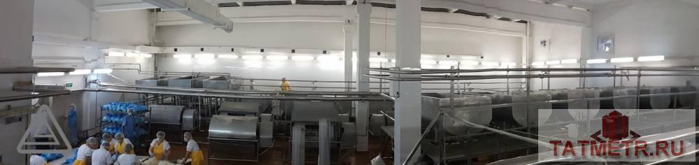 Продажа / Коммерческая / Manufacturing, Алатырь, улица Пирогова, 150 000 000 Продается производственно-имущественный комплекс общей площадью – 13 700 м2, расположенный на земельном участке 5,2... - 4