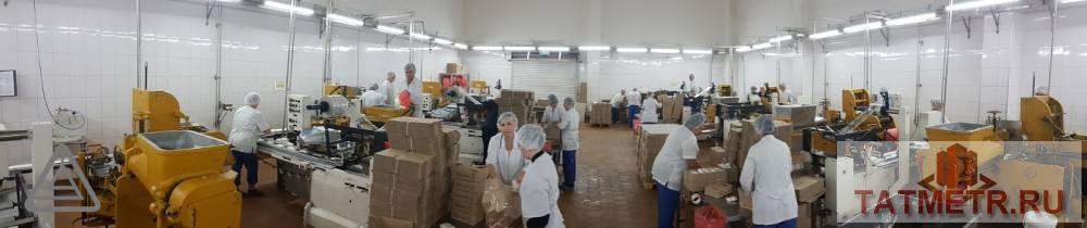 Продажа / Коммерческая / Manufacturing, Алатырь, улица Пирогова, 150 000 000 Продается производственно-имущественный комплекс общей площадью – 13 700 м2, расположенный на земельном участке 5,2... - 6