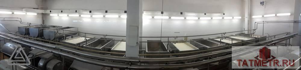 Продажа / Коммерческая / Manufacturing, Алатырь, улица Пирогова, 150 000 000 Продается производственно-имущественный комплекс общей площадью – 13 700 м2, расположенный на земельном участке 5,2... - 7