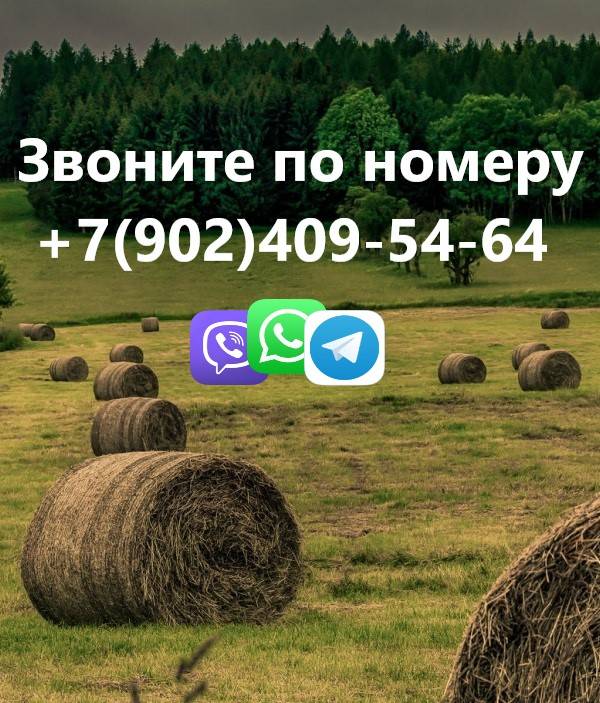 Аренда / Квартиры, Бугульма, Владимира Ленина улица, 7 199 Сдам однокомнатную квартиру на длительный срок в пятиэтажном кирпичном доме по адресу: г. Бугульма, ул. Ленина, 131.... - 1