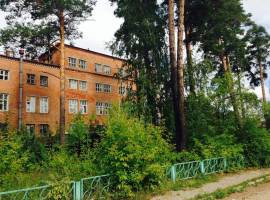 На электронном аукционе на электронной торговой площадке АО...